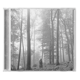1. the "in the trees" edition deluxe cd