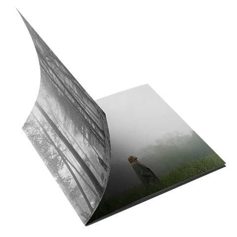 1. the "in the trees" edition deluxe cd
