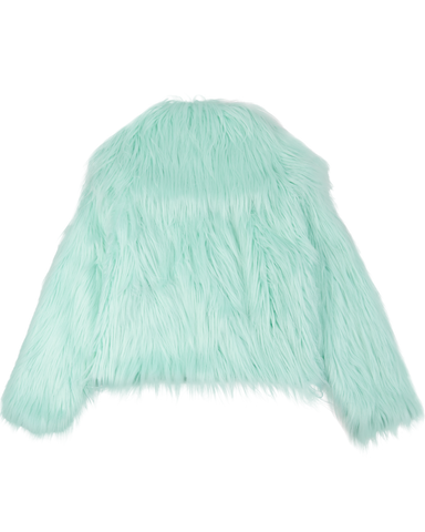 The Life of a Showgirl Mint Faux Fur Coat